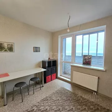 Студия Воронежская область, Воронеж Ростовская ул., 100БкБ (17.2 м)