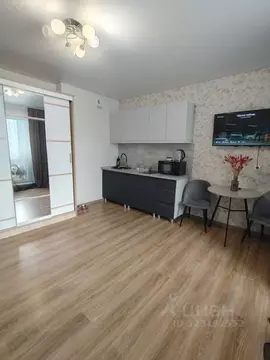 Студия Челябинская область, Челябинск ул. Александра Шмакова, 39 (23.5 ...