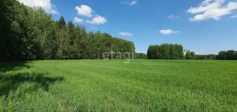 Участок в Тюменская область, Тюменский район, д. Зырянка  (40.0 сот.)