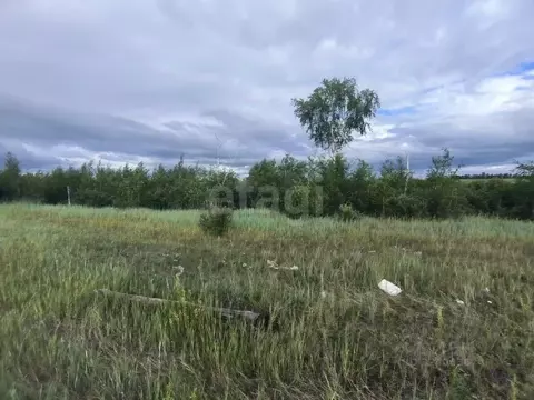 Участок в Саха (Якутия), Якутск Баал Заимката тер.,  (10.97 сот.)