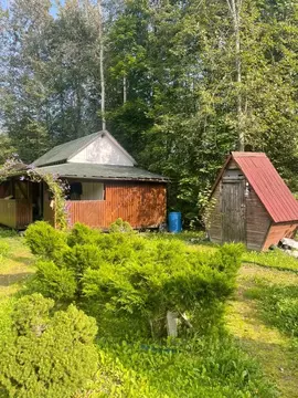 Дом в Ленинградская область, Лужский район, Мшинское с/пос, Мшинская ...