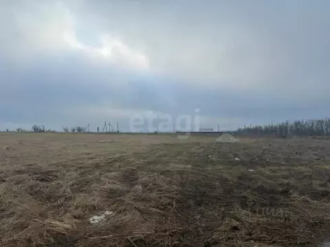 Участок в Ростовская область, Аксайский район, Большелогское с/пос, ...