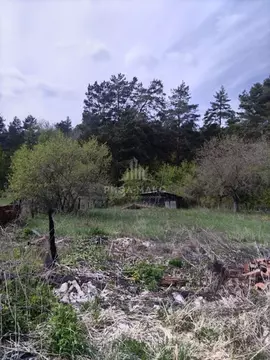 Участок в Брянская область, Навлинский район, Чичковское с/пос, пос. ...