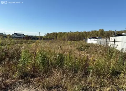 Участок в Московская область, городской округ Домодедово, деревня ...