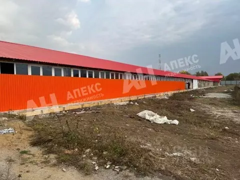 Склад в Московская область, Кашира городской округ, д. Руднево ул. ...