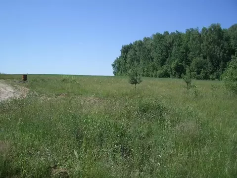 Участок в Калужская область, Тарусский муниципальный округ, Алекино ...