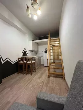 Студия Санкт-Петербург Старо-Петергофский просп., 37 (20.0 м)