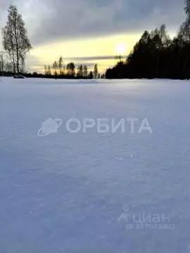 Участок в Тюменская область, Нижнетавдинский муниципальный округ, ...