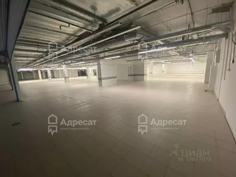 Офис в Волгоградская область, Волгоград ул. Рокоссовского, 60 (2000 м)