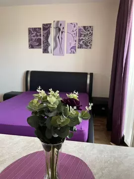 1-к кв. Челябинская область, Челябинск Университетская Набережная ул., ...