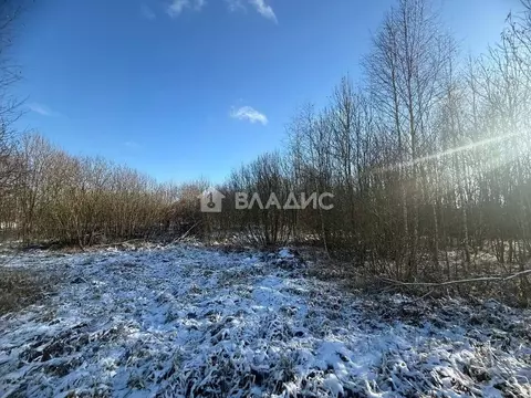 Участок в Московская область, Раменский муниципальный округ, с. ...