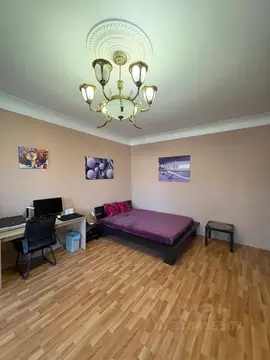 1-к кв. Санкт-Петербург Прачечный пер., 3Б (45.0 м)