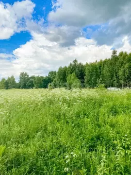 Участок в Ярославская область, Большесельский муниципальный округ, д. ...