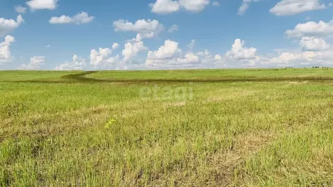 Участок в Тульская область, Новомосковск Сокольники мкр,  (13.1 сот.)