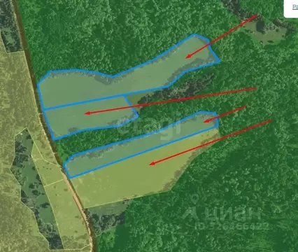 Участок в Алтай, Чойский район, с. Паспаул Заречная ул. (24.0 сот.)