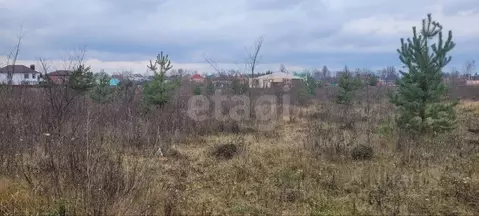 Участок в Курская область, Курский район, Нижнемедведицкий сельсовет, ...