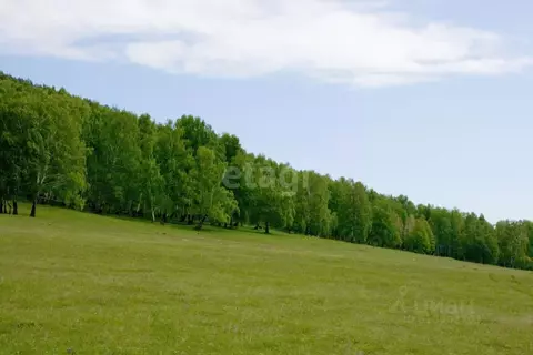 Участок в Башкортостан, Караидельский район, Байкинский сельсовет, д. ...