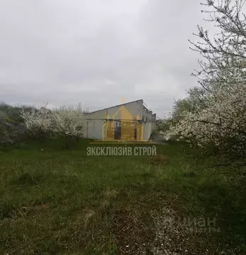 Помещение свободного назначения в Ставропольский край, Предгорный ...
