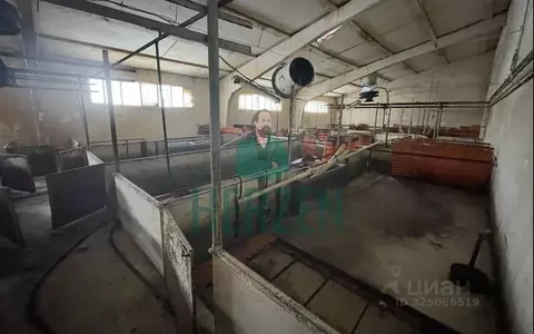Производственное помещение в Москва д. Кузнецово,  (44000 м)
