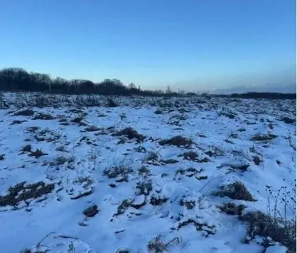 Участок в Московская область, Зарайск муниципальный округ, д. Латыгори ...