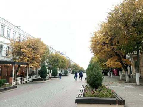 3-к кв. Орловская область, Орел ул. Ленина, 28 (55.3 м)