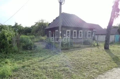 Дом в Брянская область, Жуковка ул. Шевченко (54 м)