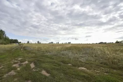 Участок в Оренбургская область, Оренбургский район, с. Нижняя Павловка ...