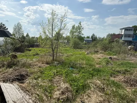 Участок в Вологда, СНТ Швейник (9 м)
