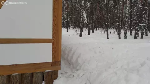 Дом в деревня Есино, улица Слобода, 37 (33 м)