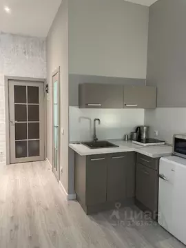 Студия Санкт-Петербург ул. Всеволода Вишневского, 11 (27.0 м)