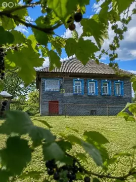 Дом в Вологодская область, Междуреченский муниципальный округ, деревня ...