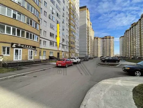 Помещение свободного назначения в Воронежская область, Воронеж ул. ...