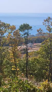 Участок в Приморский край, Находка пос. Врангель, ул. Осенняя, 35 ...