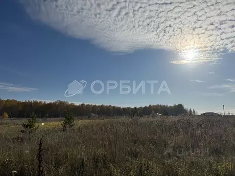 Участок в Тюменская область, Тюменский муниципальный округ, д. Елань, ...