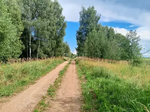 Участок в Псковская область, Пушкиногорский район, Велейская волость, ...