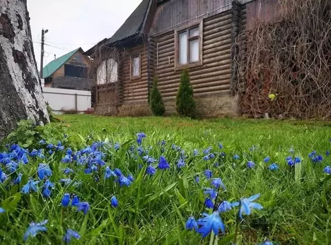 Дом в Московская область, Солнечногорск городской округ, Спасское СНТ  ...