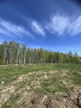 Участок в Нижегородская область, Городецкий муниципальный округ, д. ...