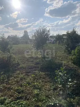 Дом в Курганская область, Далматово ул. Гоголя (23 м)