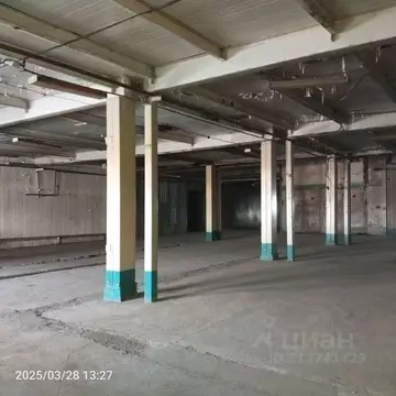 Помещение свободного назначения в Оренбургская область, Оренбург ...