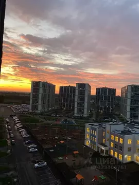 1-к кв. Санкт-Петербург пос. Парголово, ул. Новокузнецкая, 8 (34.4 м)