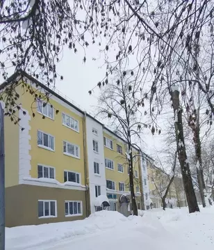 3-к кв. Пермский край, Пермь Комсомольский просп., 96 (65.5 м)