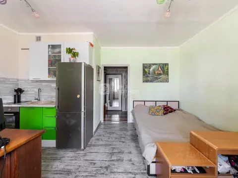 Студия Санкт-Петербург просп. Королева, 71к1 (25.7 м)