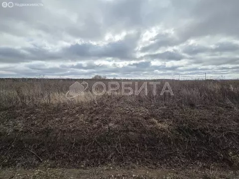 Участок в Тюмень, садовое товарищество Липовый Остров (14.76 м)