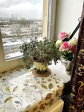 1-к кв. Санкт-Петербург ул. Руставели, 37 (40.0 м)