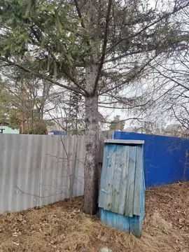 Дом в Курганская область, Курган Тополя СТ, 10 (45 м)