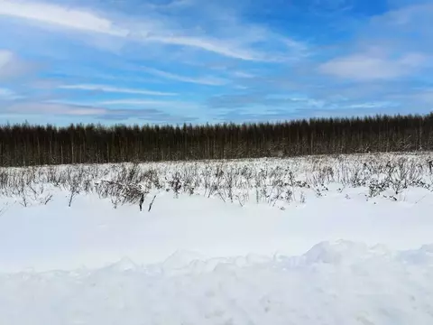 Участок в Московская область, Раменский муниципальный округ, Оттепель ...