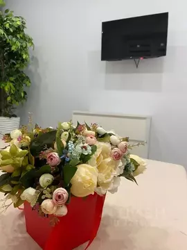 Студия Московская область, Ногинск Богородский городской округ, ул. ...