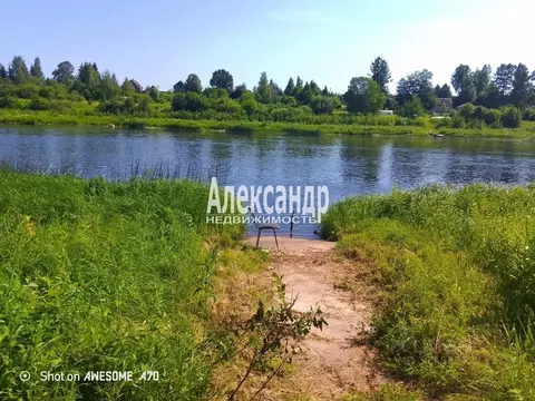 Участок в Ленинградская область, Волховский район, Колчановское с/пос, ...