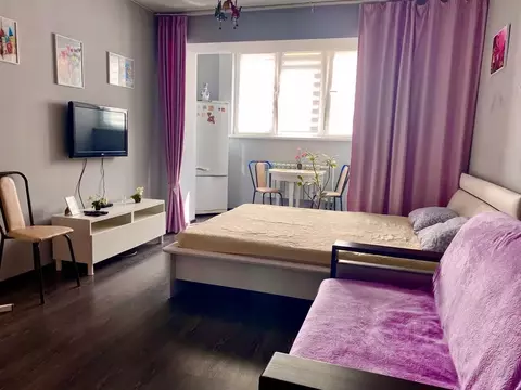 Студия Московская область, Ногинск Богородский городской округ, ул. ...