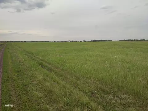 Участок в Калужская область, Тарусский муниципальный округ, Лопатино ...